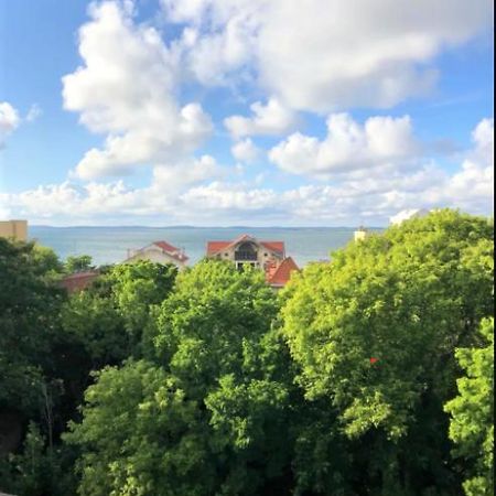 Appartement Vue Sur Baie Et Ocean, 100 M De La Plage Et Du Centre Par Chemin Prive Arcachon Luaran gambar