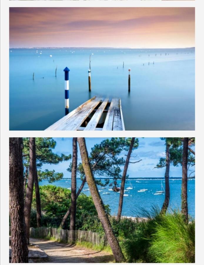 Appartement Vue Sur Baie Et Ocean, 100 M De La Plage Et Du Centre Par Chemin Prive Arcachon Luaran gambar